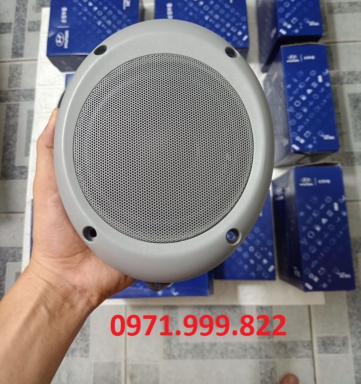 Loa xe County chính hãng