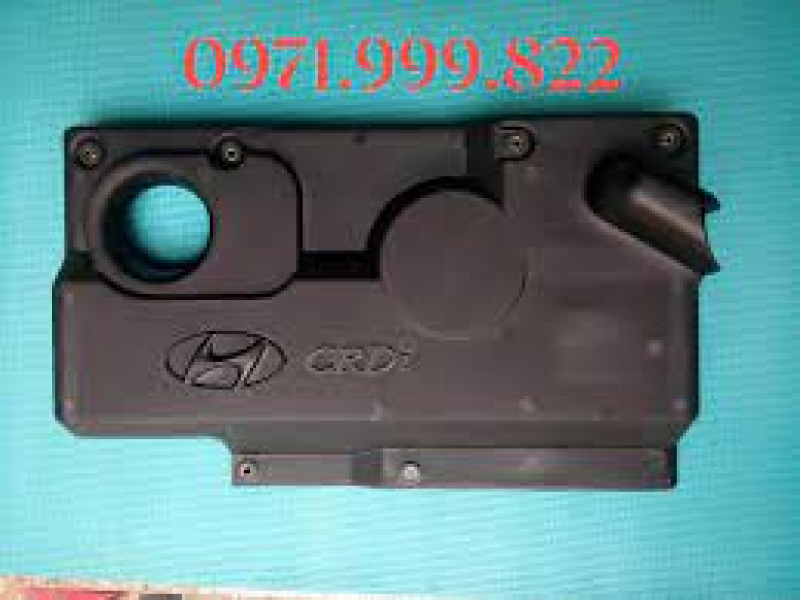Nắp máy xe County, nắp động cơ xe County máy điện