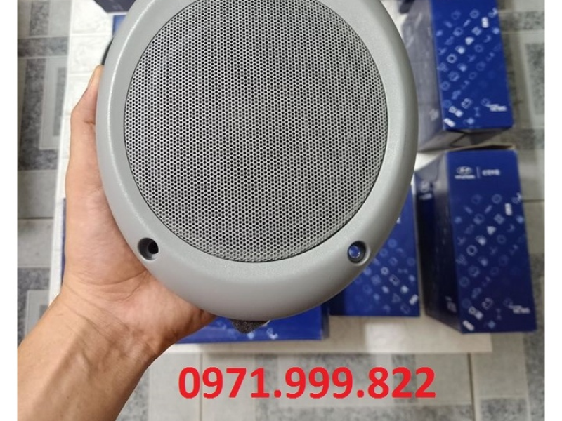 Loa xe County 29 chỗ