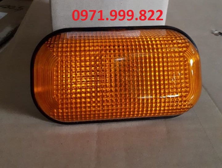 Đèn xin nhan hông, xin nhan sườn xe County