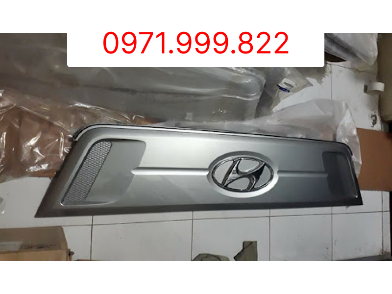 Mặt ca lăng xe Universe 45 chỗ 