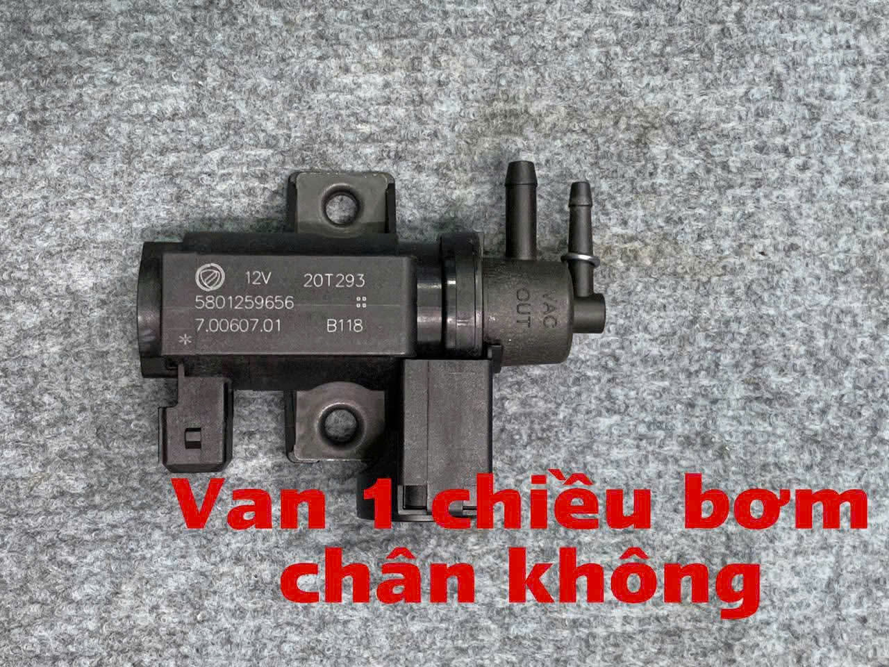 Van 1 chiều bơm chân không Iveco daily 16 chỗ 19 chỗ