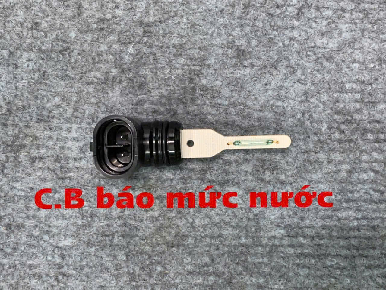 Cảm biến nước Iveco daily 16 chỗ 19 chỗ