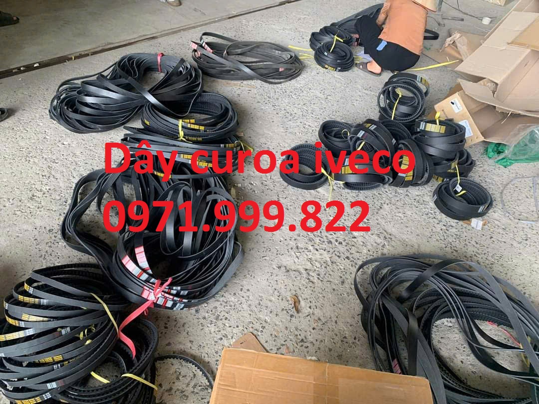 Dây curoa Iveco daily 16 chỗ, 19 chỗ, tải van Iveco daily chính hãng